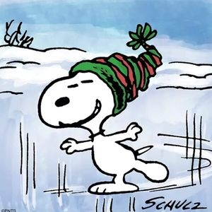 Meet your Posher, Teresa